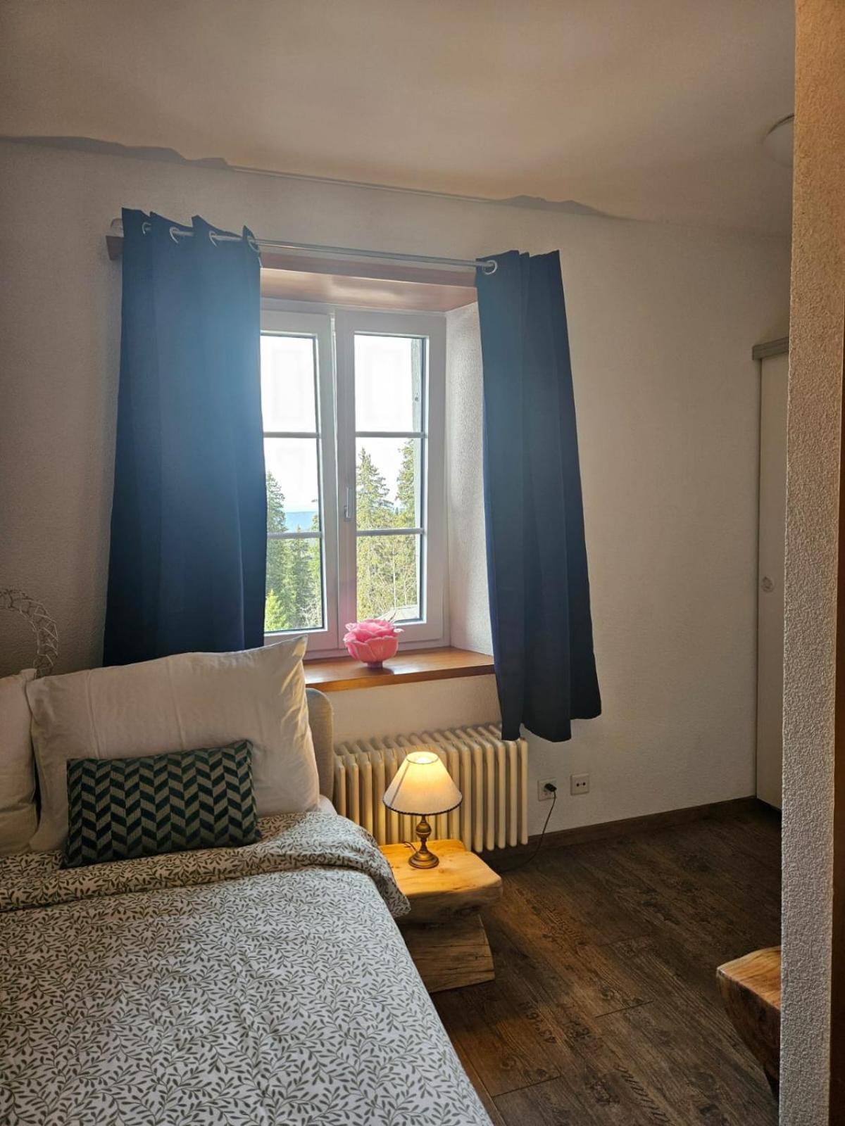 Hotel Restaurant Du Marchairuz Le Brassus Εξωτερικό φωτογραφία